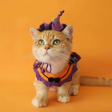 Halloween Cat Collar Handmade Hats Pumpkin Costume