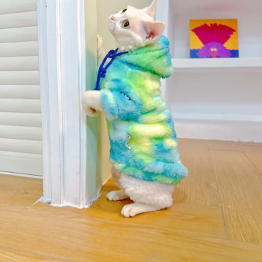 Gradient Cat Clothes Warm Hooded Sweater