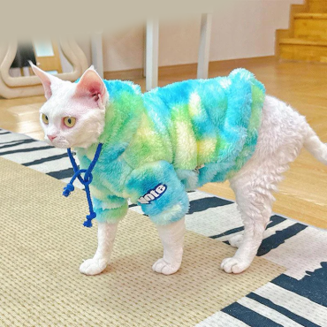 Gradient Cat Clothes Warm Hooded Sweater