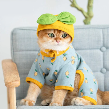 Fruit Print Funny Cat Clothes Hat 2 Color