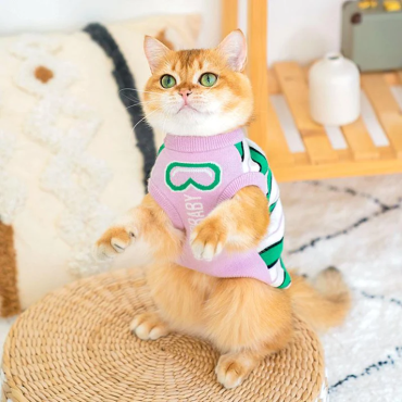 Cat Clothes 3 Color Winter Warm Sweater Vest