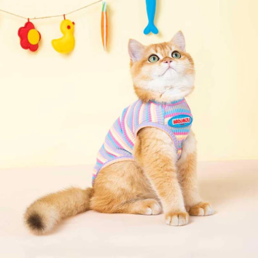 Mrduanju Rainbow Cat Vest Pet Clothes