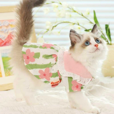 Sakura Breathable Cat Dress Pet Clothes
