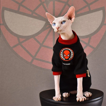 Fun Glowing Cat Clothes 5 Styles Warm Sweatshirt