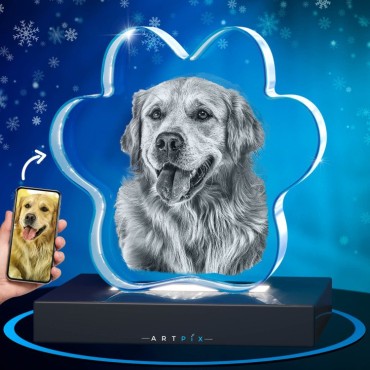 ArtPix3D - 2D Pet Paw Crystal